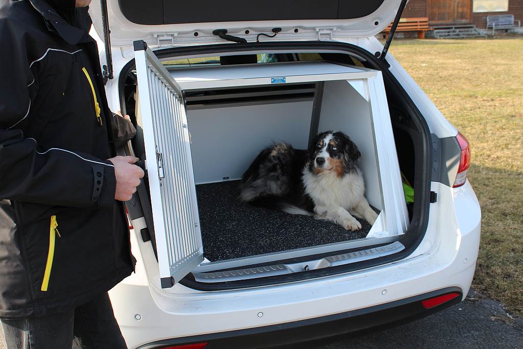 Auto packen mit Hund: die praktische Hundebox