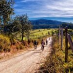Unbegrenzte Optionen: Radwandern ist Erholung in schönster Natur